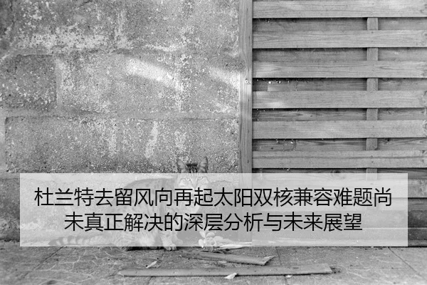 杜兰特去留风向再起太阳双核兼容难题尚未真正解决的深层分析与未来展望